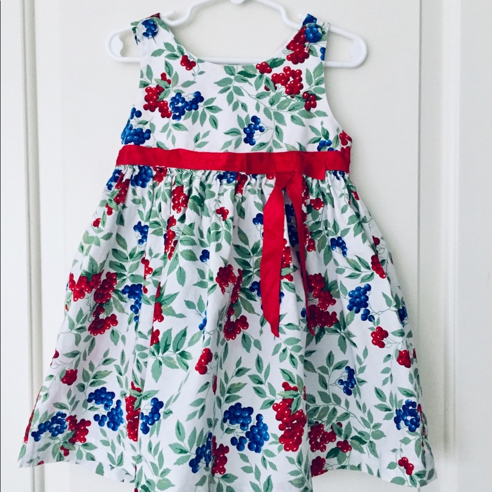 🍓 HP 🍓 Gorgeous Berries Print Dress